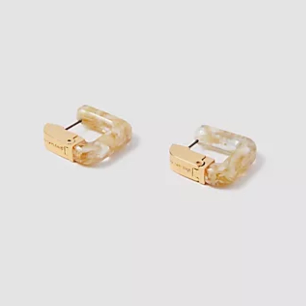 Ann Taylor Huggie Earnings